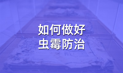 檔案修復(fù)后，如何做好蟲霉防治